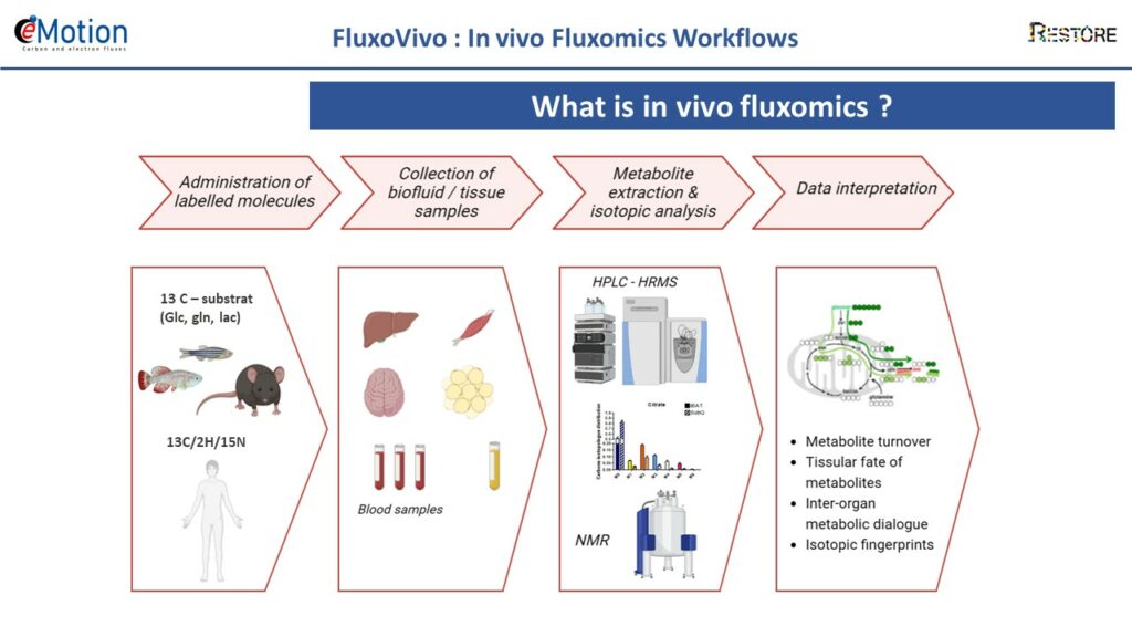 Diapo FluxoVivo 1