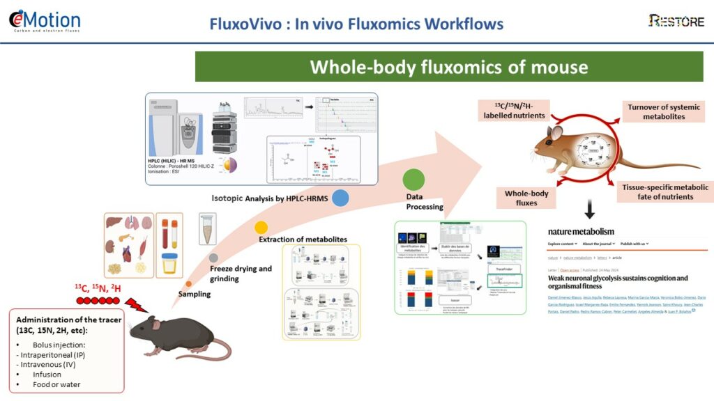 Diapo FluxoVivo 2